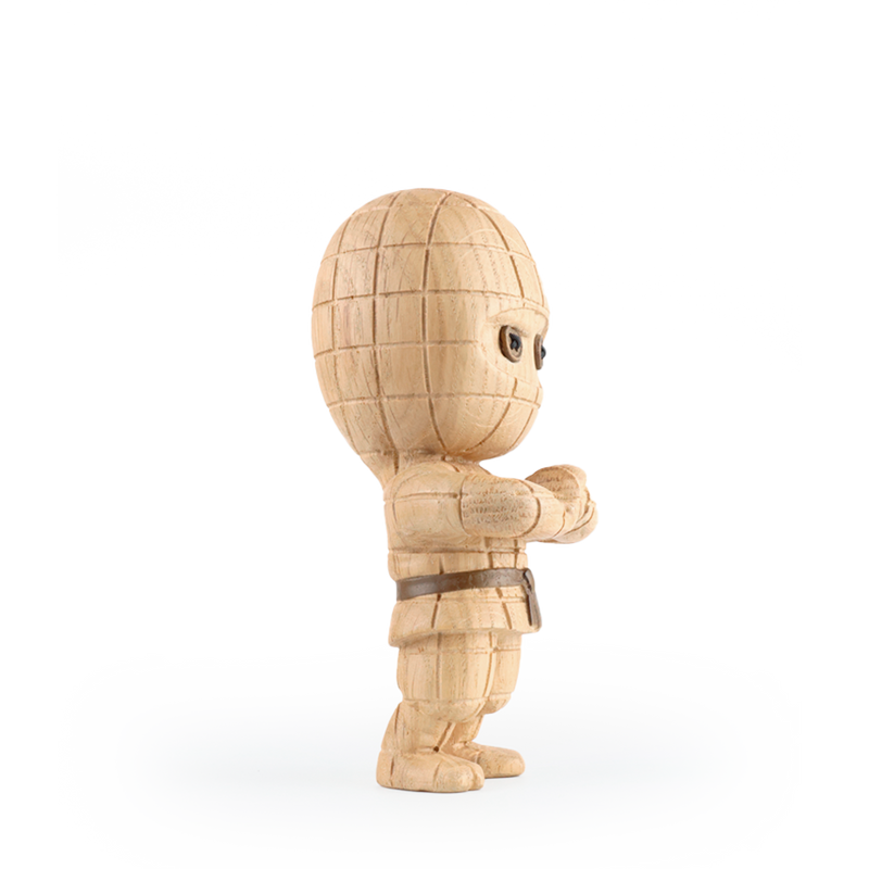 Ternet Ninja Large