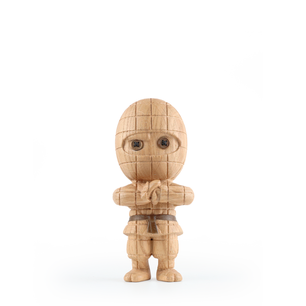 Ternet Ninja Small