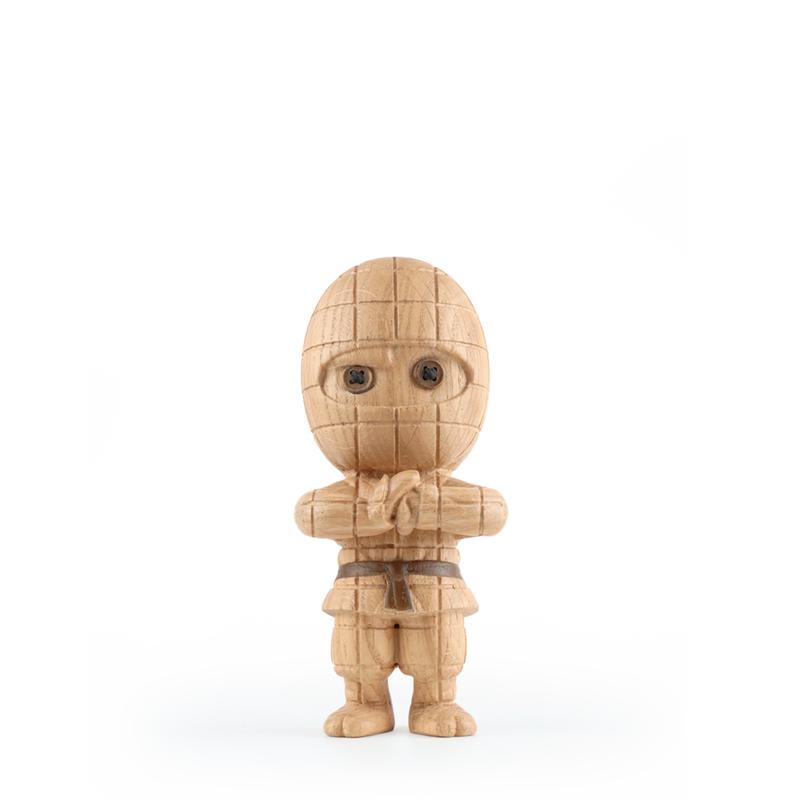 Ternet Ninja Small