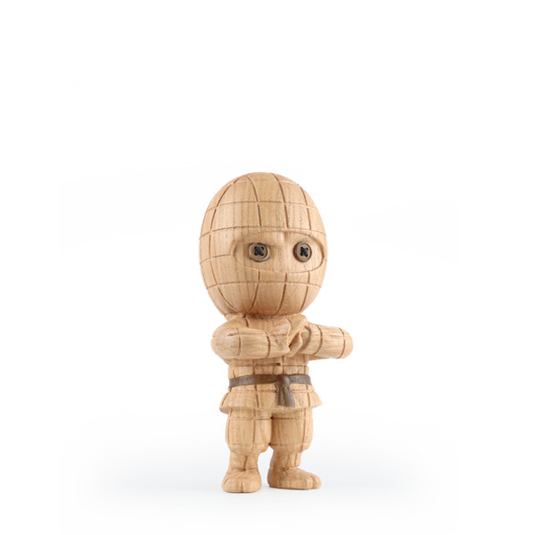 Ternet Ninja Small