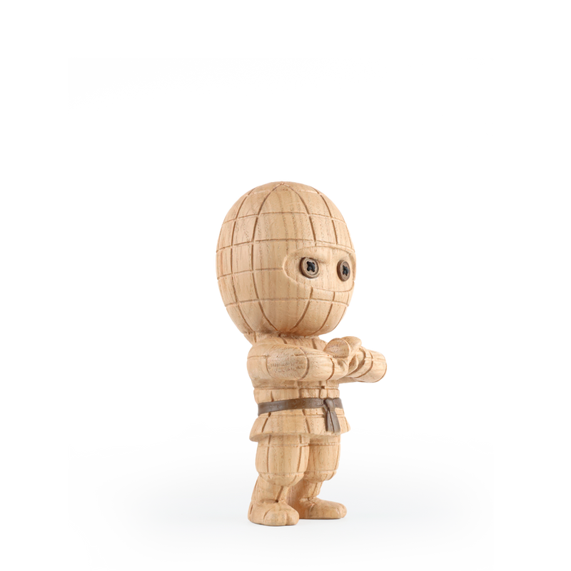 Ternet Ninja Small