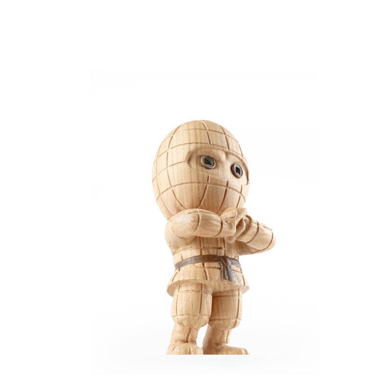 Ternet Ninja Small