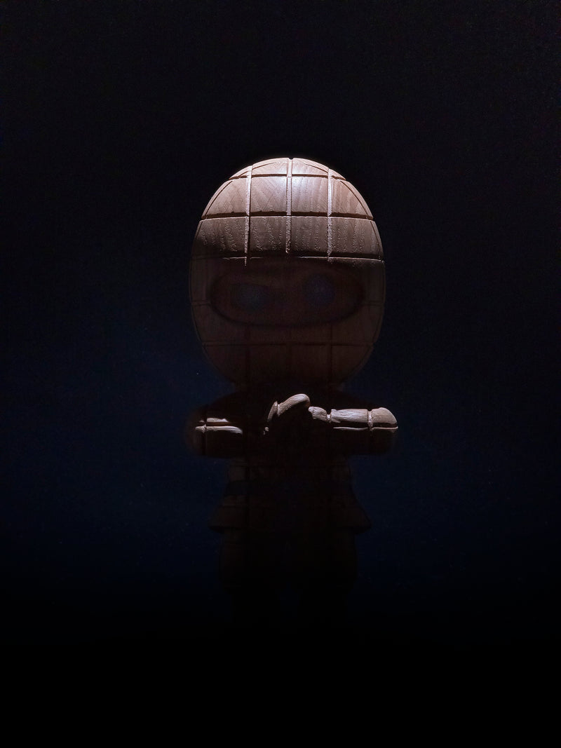 Ternet Ninja Large
