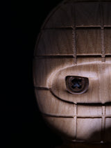 Ternet Ninja Large